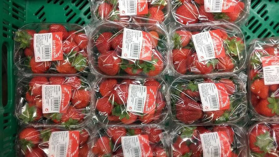 2017 Huelva Fresa 3|17652_modal|17653_modal|fruit-3162744_960_720|atmósfera modificada